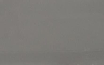Sandbar Grey Forever Quartz Quartz 3CM