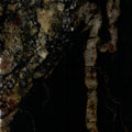 Black Cosmic Granite 3CM