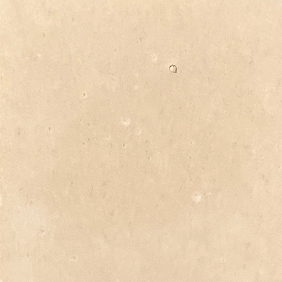 Salt Sable Concrete Tile