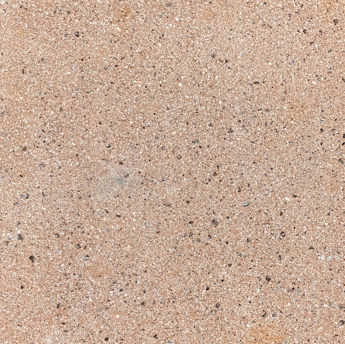Trails Flekk Valencia Terrazzo Paver