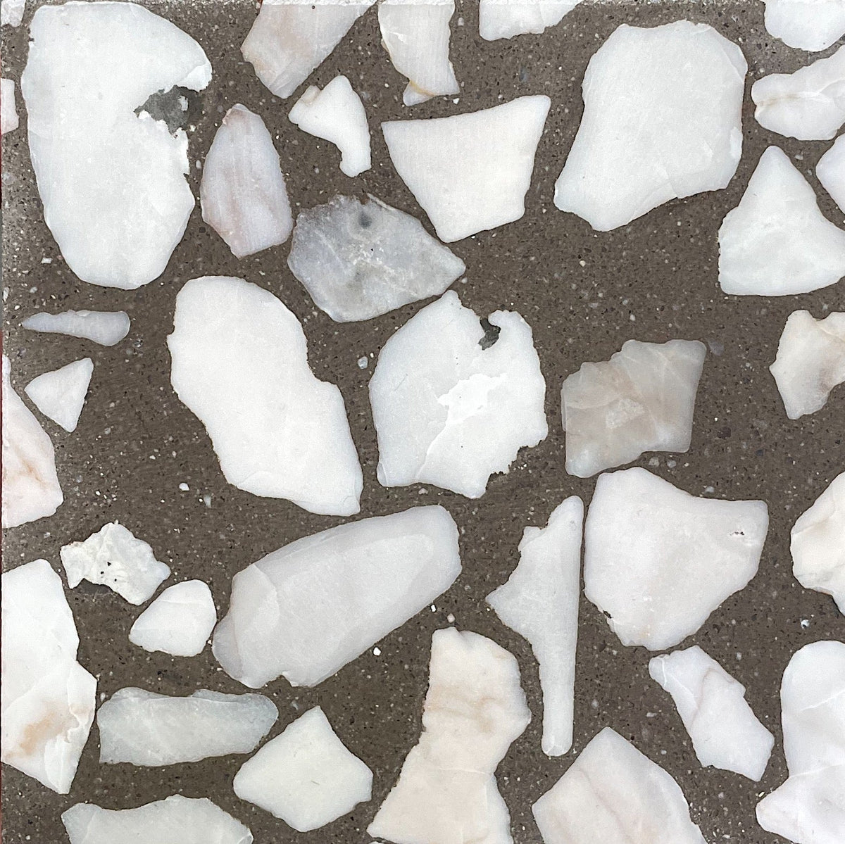 Venice Large Fossil LMC Terrazzo Tile