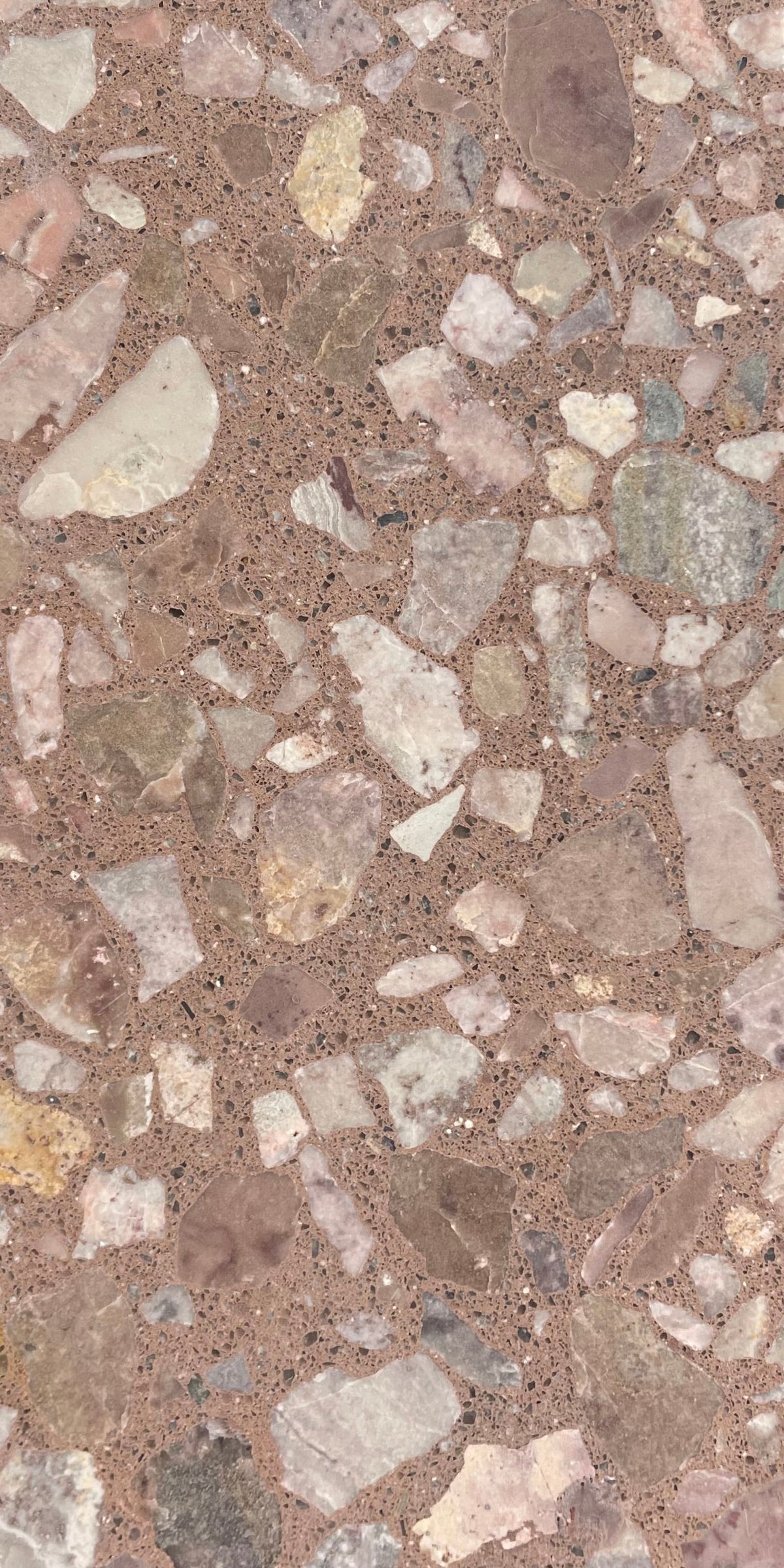 Venice Americana x Butte Terrazzo Tile