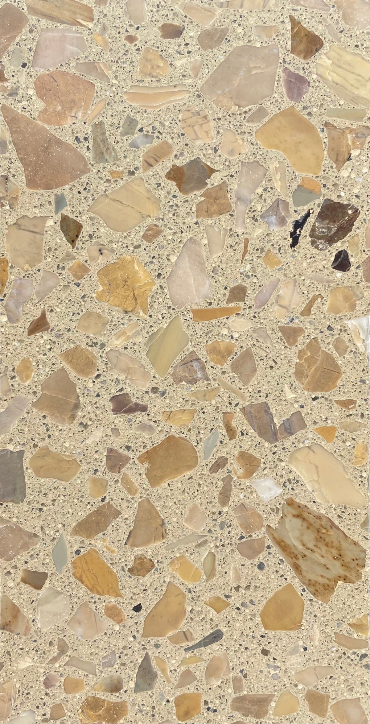 Venice Americana x Lido Terrazzo Tile