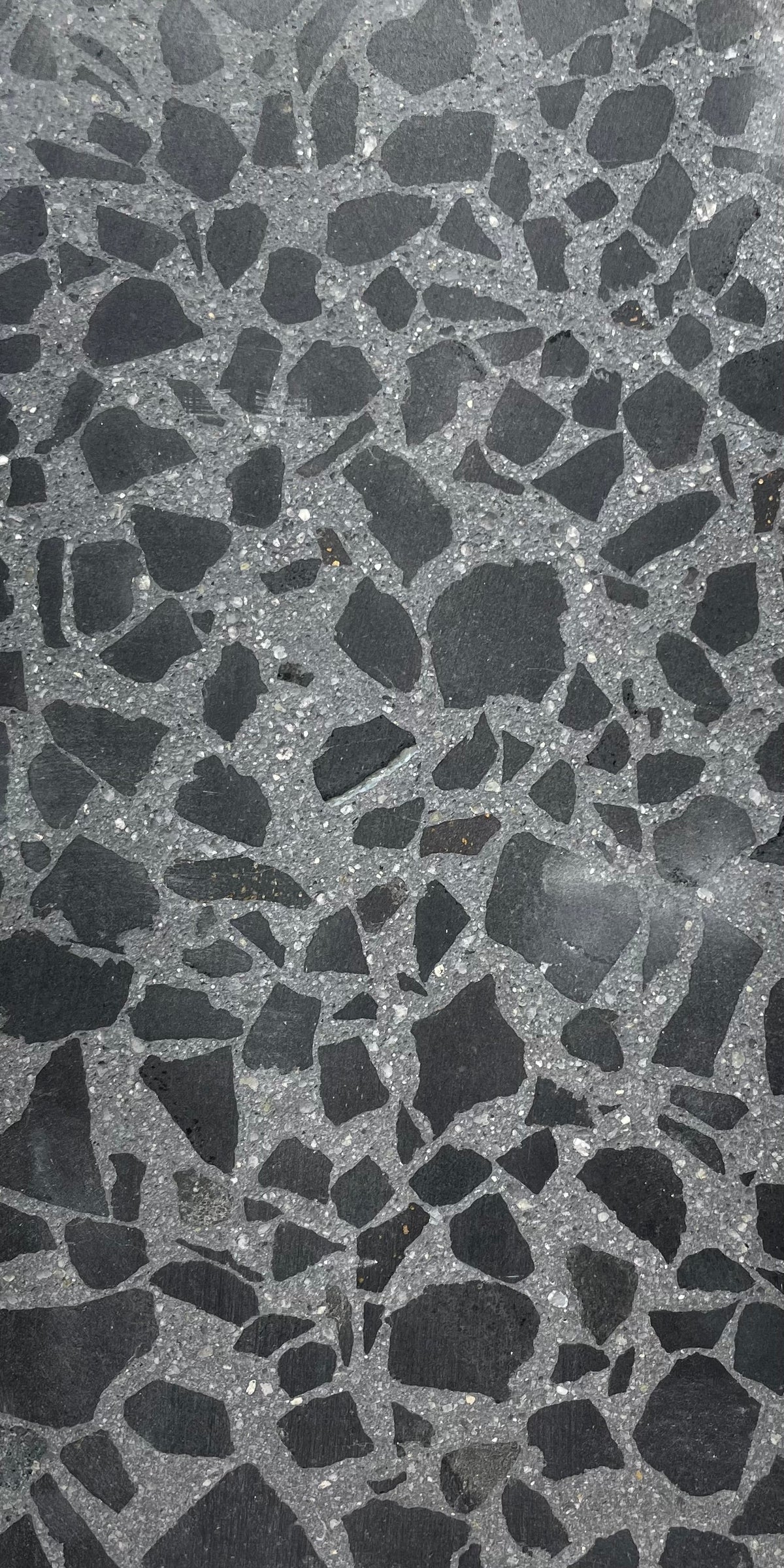 Venice Americana x Mystic Terrazzo Tile