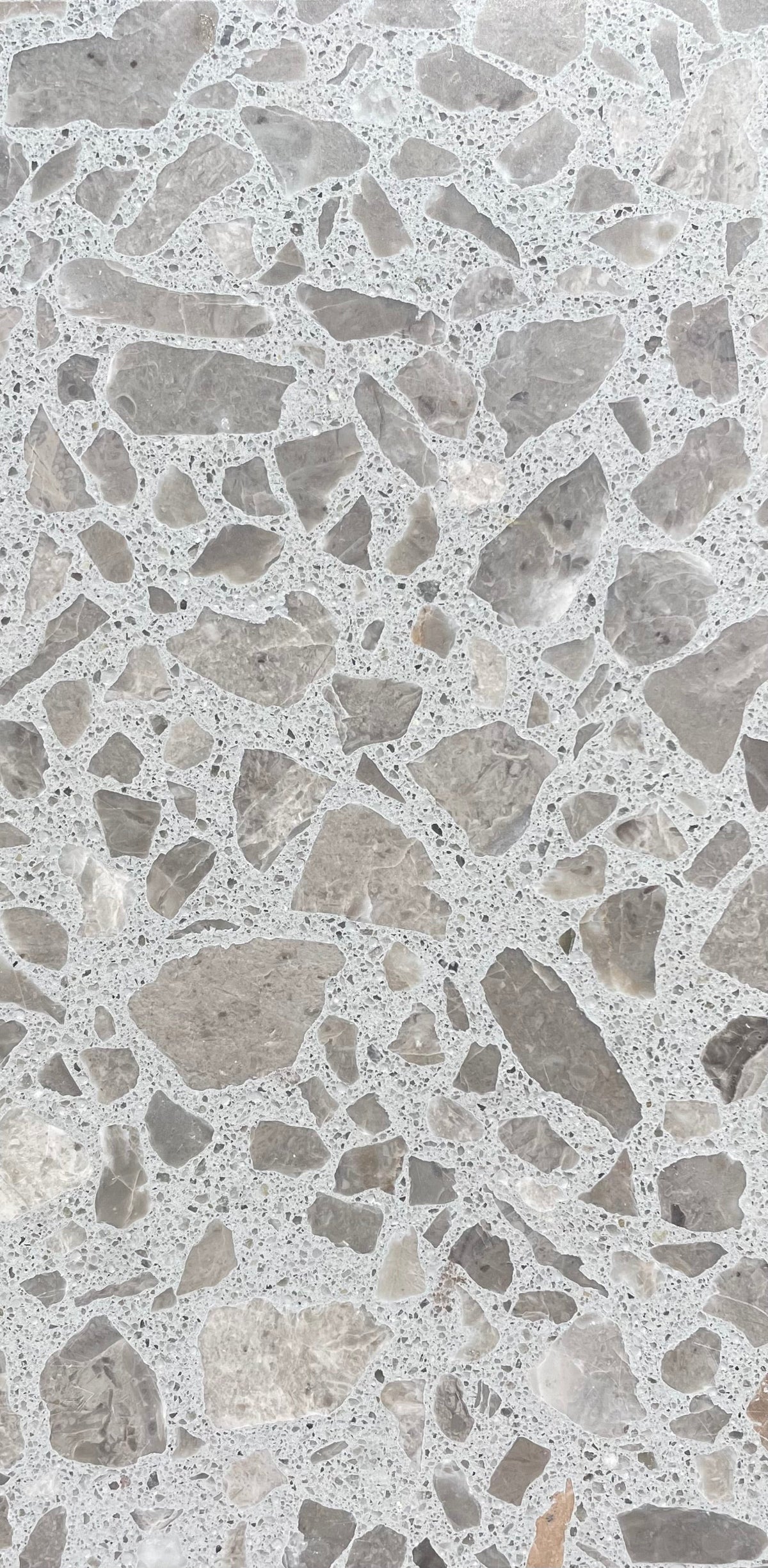 Venice Americana x Salem Terrazzo Tile