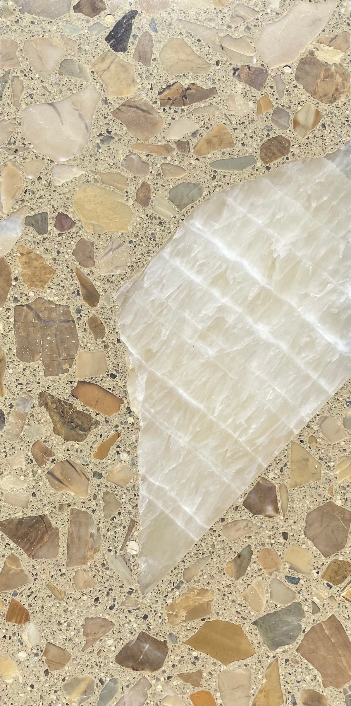 Venice Americana x Lido Slice Terrazzo Tile