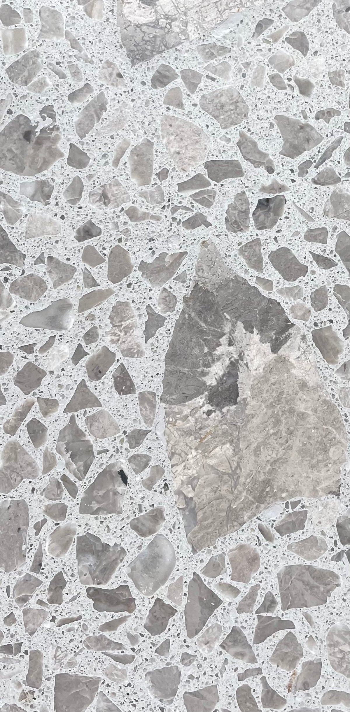 Venice Americana x Salem Slice Terrazzo Tile