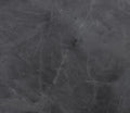 Black Diamond Infinity Black Honed Granite 3CM
