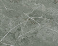 Bonsai Quartz slab