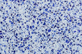 Vetro Blu Quartz slab