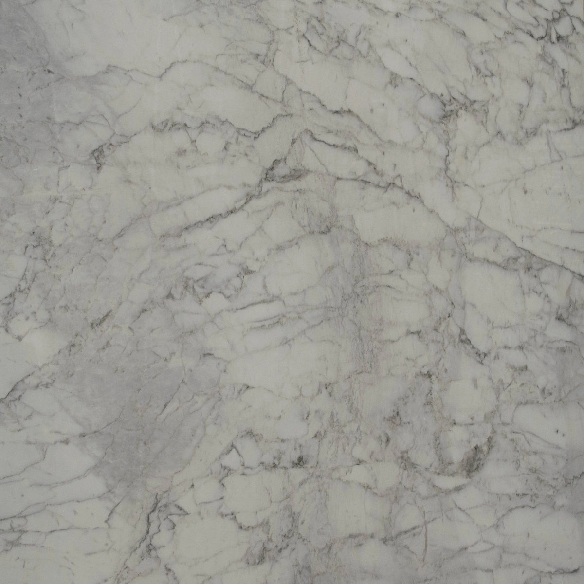 Calacatta Honed Marble 3CM