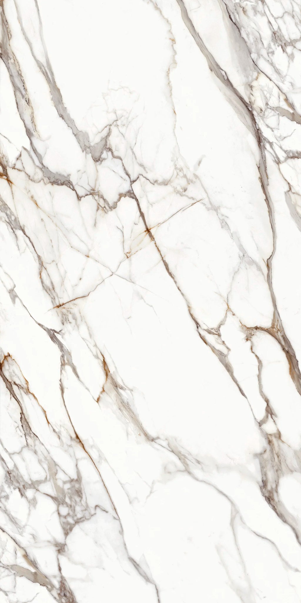 Dorato Imperia Porcelain 12MM – representative photo 1; actual slab photo sent with your estimate