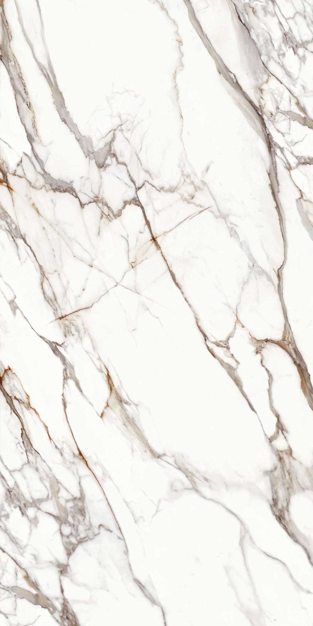 Dorato Imperia Porcelain 12MM – representative photo 1; actual slab photo sent with your estimate