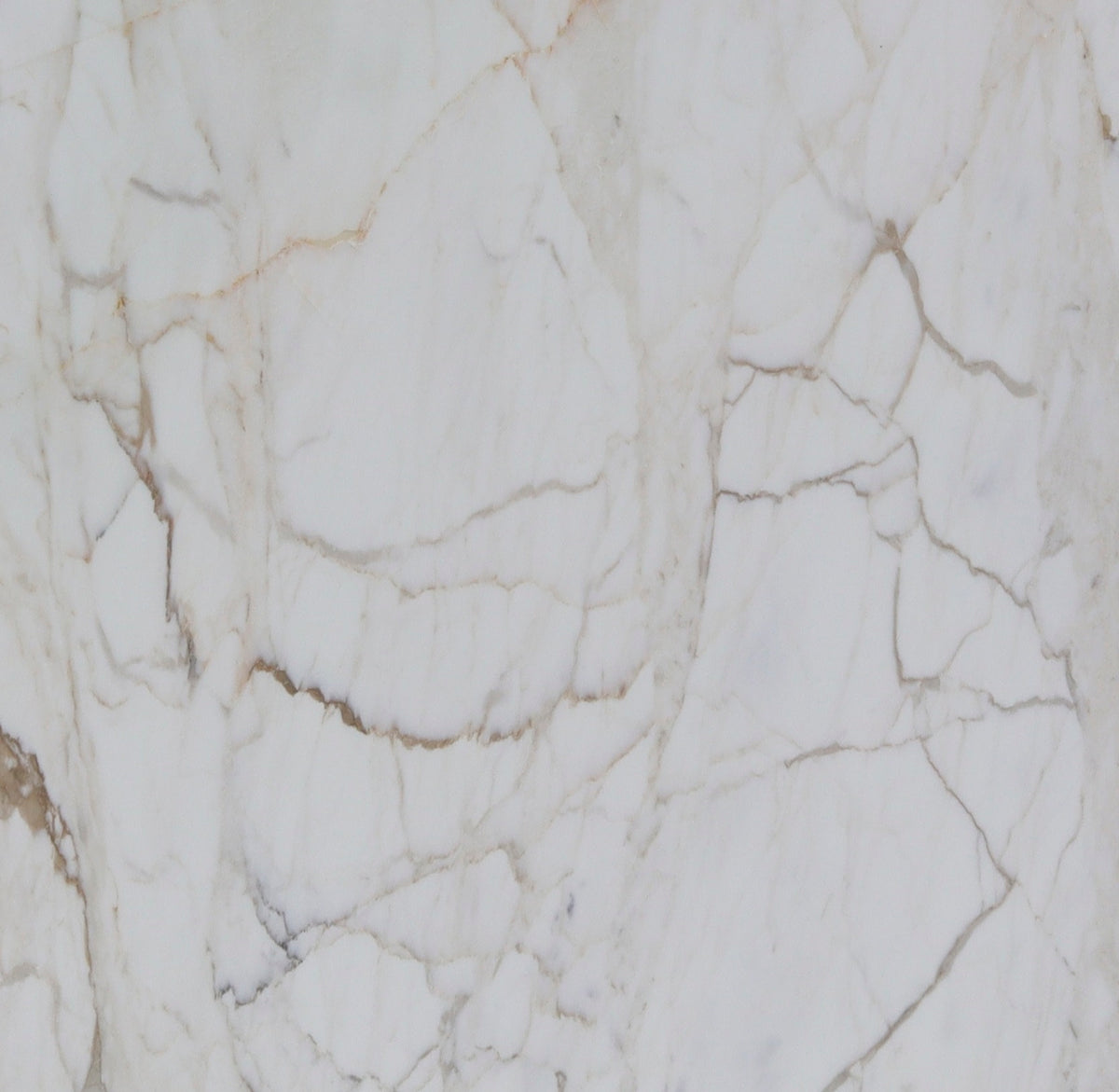 Calacatta Gold Macchia Vecchia Honed Marble 2CM