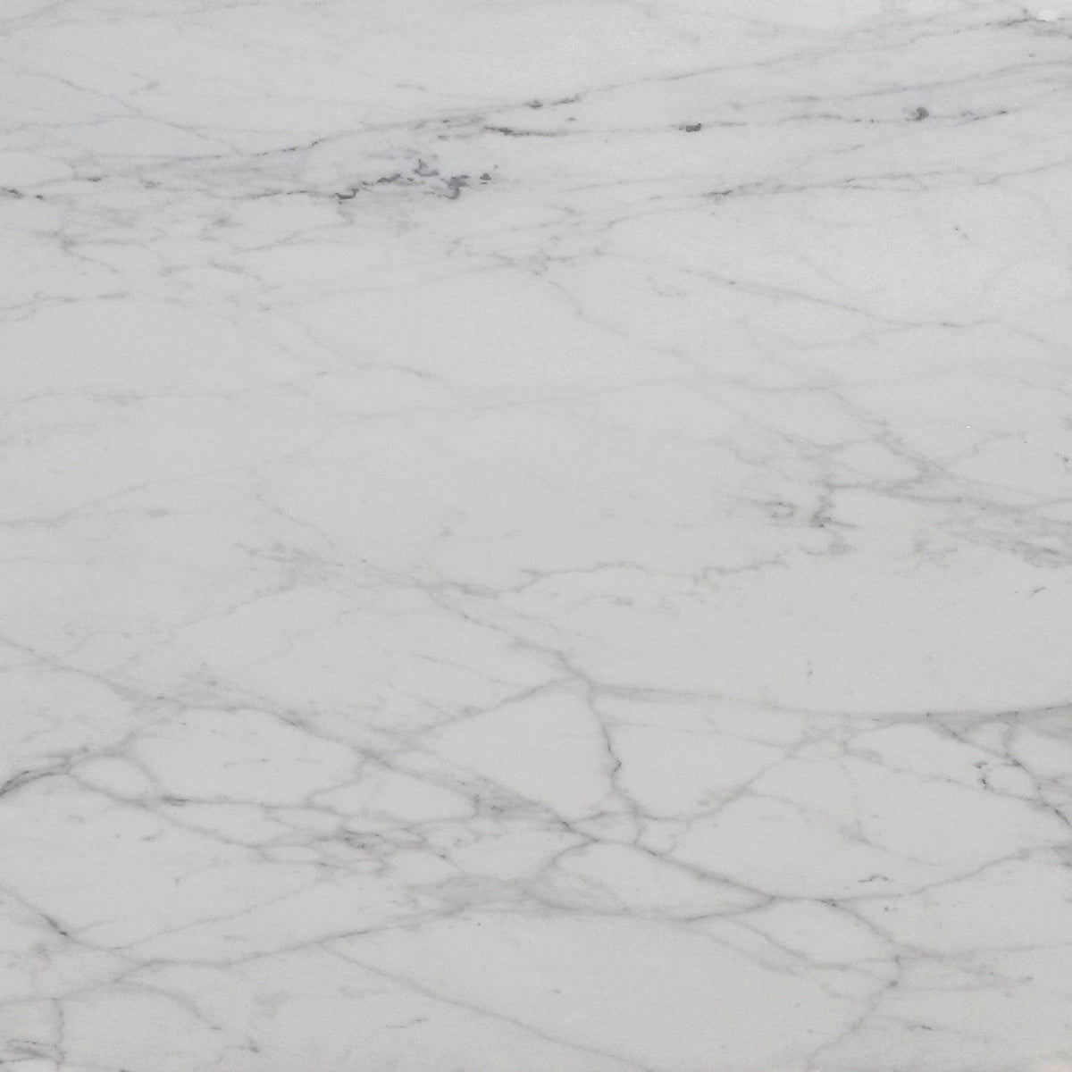 Calacatta Lincoln Honed Marble 3CM