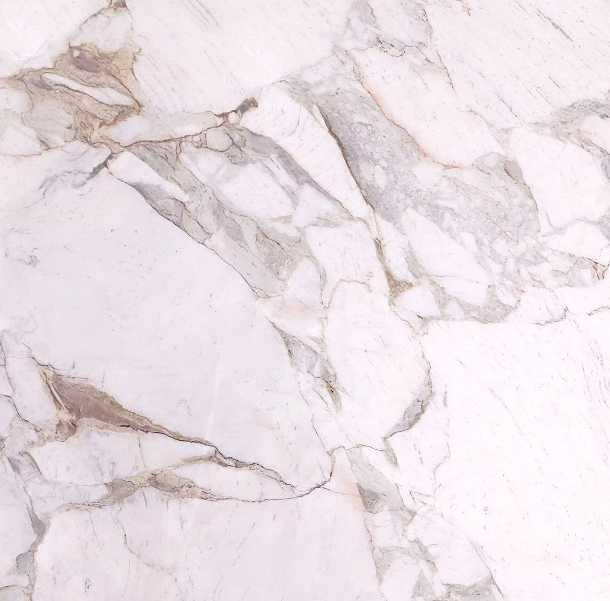 Calacatta Michelangelo Prime Honed Dolomite 2CM