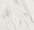 Calacatta Venus Marble 3CM