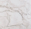 Calcutta Silk Quartzite 3CM