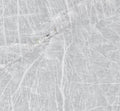 Cristallo Champagne Granite 3CM