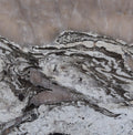 Cristal Ibiza Granite 2CM