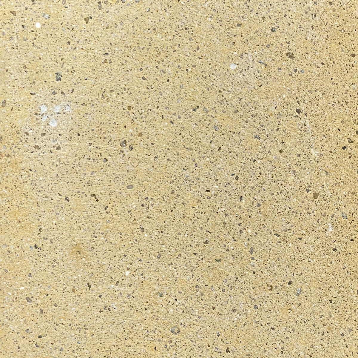 Trails Flekk Acacia Terrazzo Paver