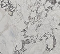 Dover White Oyster White Honed Marble 3CM