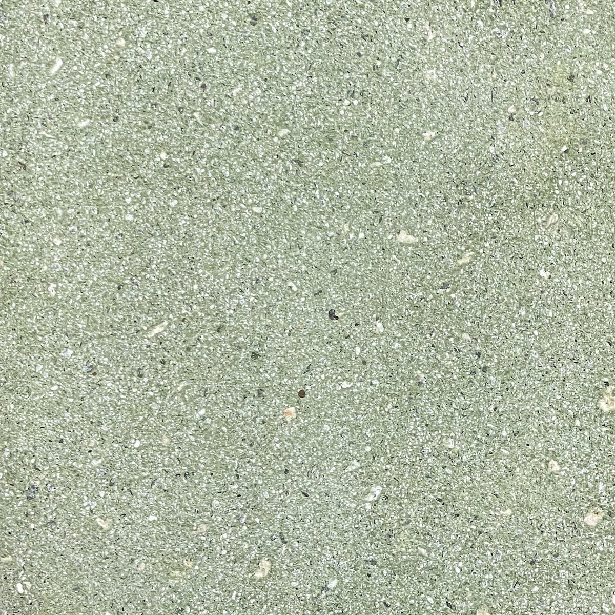 Trails Flekk Lichen Terrazzo Paver