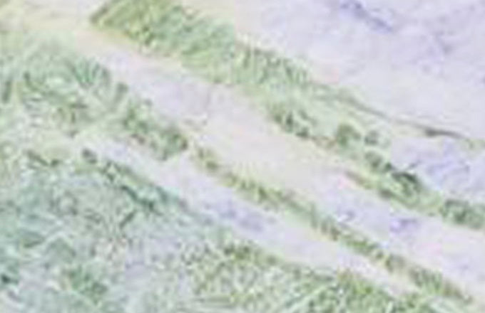 Green Abbey Marble 2CM