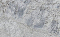 Icy Blue Granite 3CM