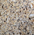 New Venetian Gold Prefab Granite Countertop 112" x 26"