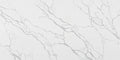 Calacatta Mia SJ Quartz 2CM