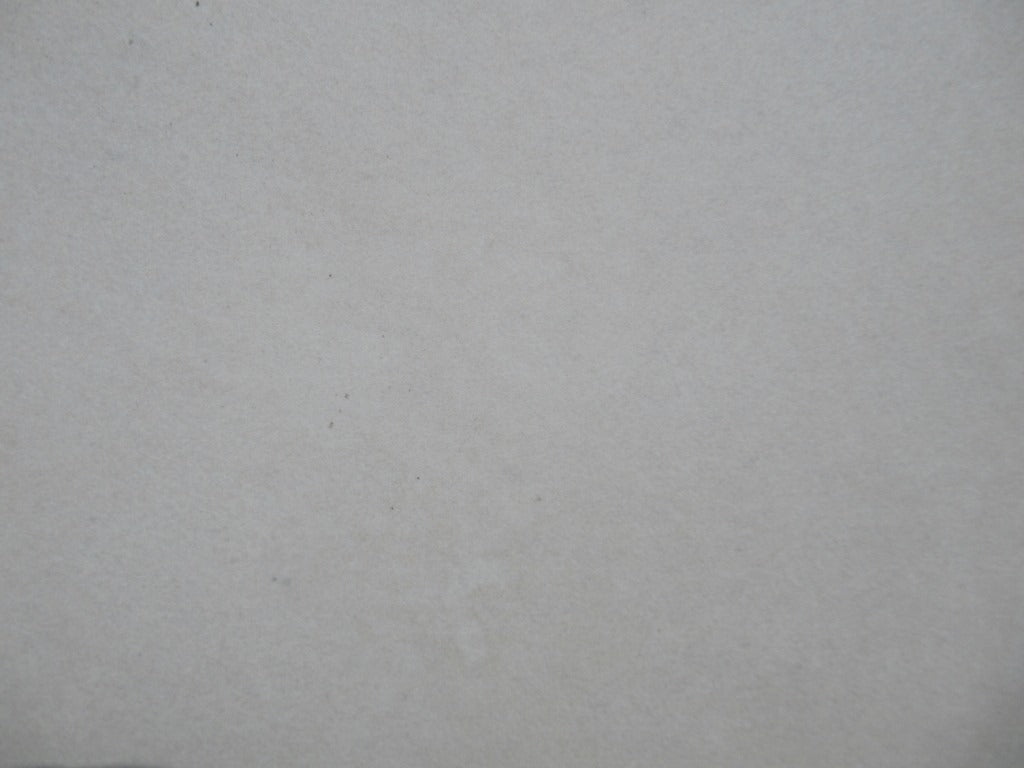Ecf White Porcelain 12MM
