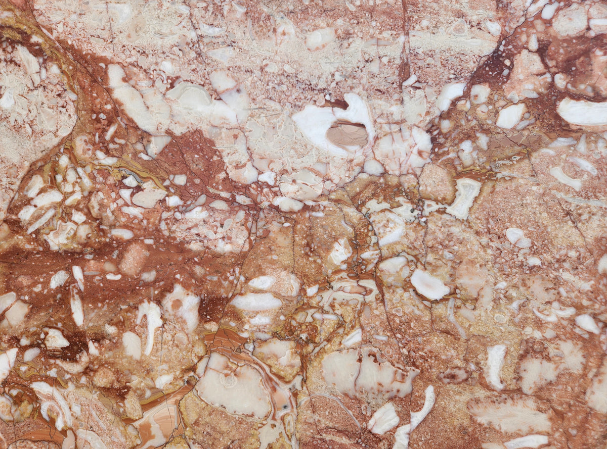 Breccia Leone Honed Marble 2CM