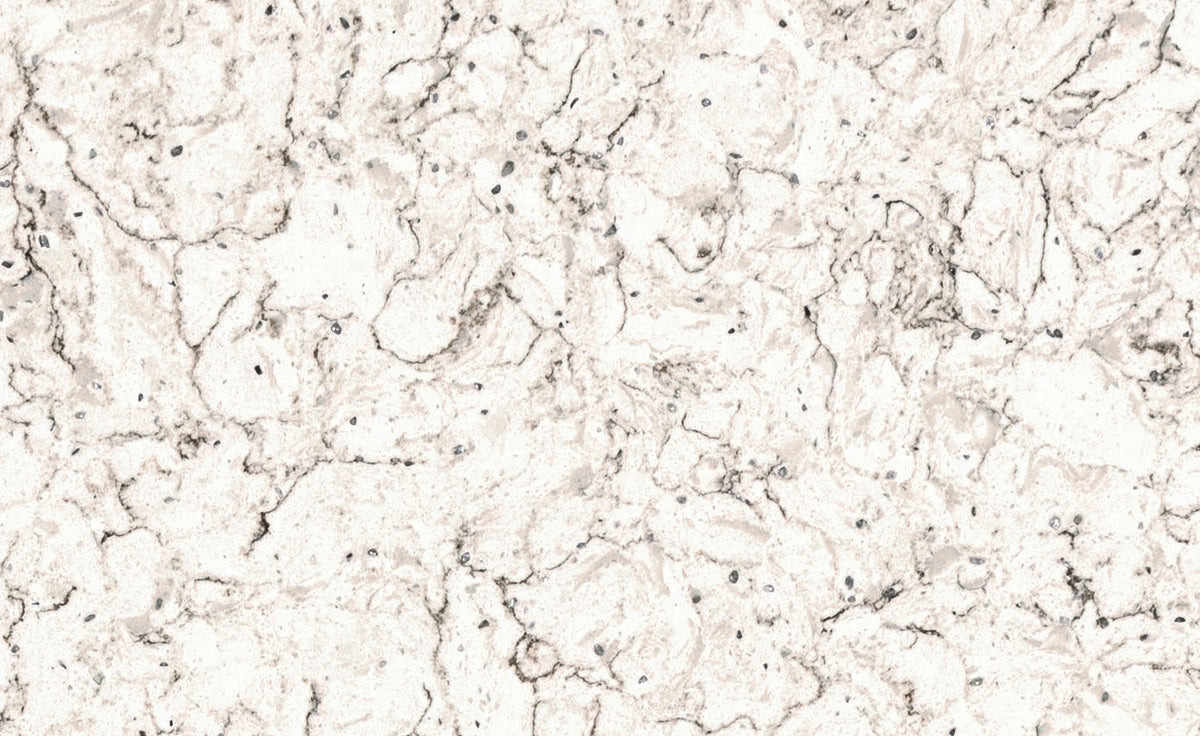 EVQ 6002 Quartz 3CM