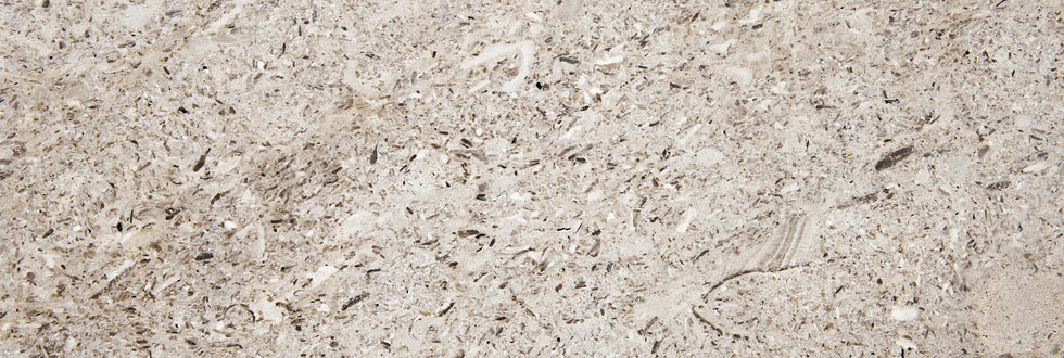 Aurisina Fior Di Mare Marble 3CM – Go-Granite