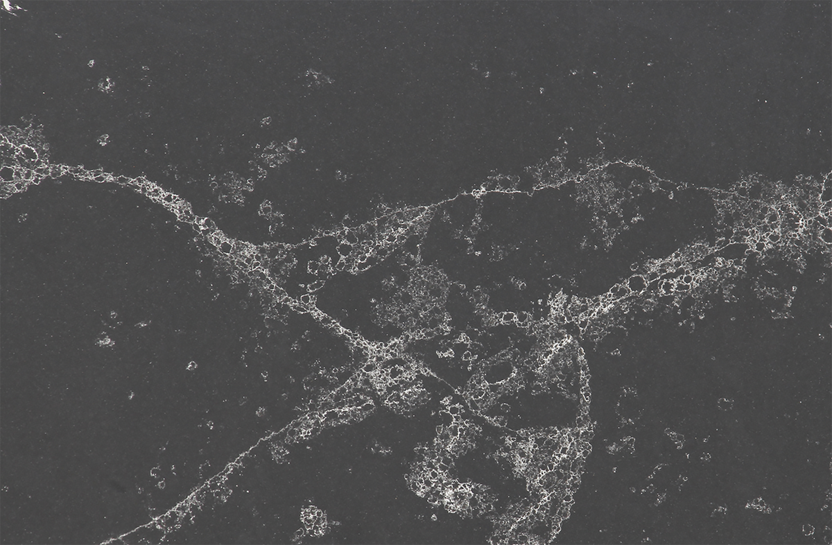 Portoro Black Quartz 3CM