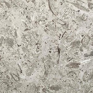 Aurisina Fiorita Marble 2CM