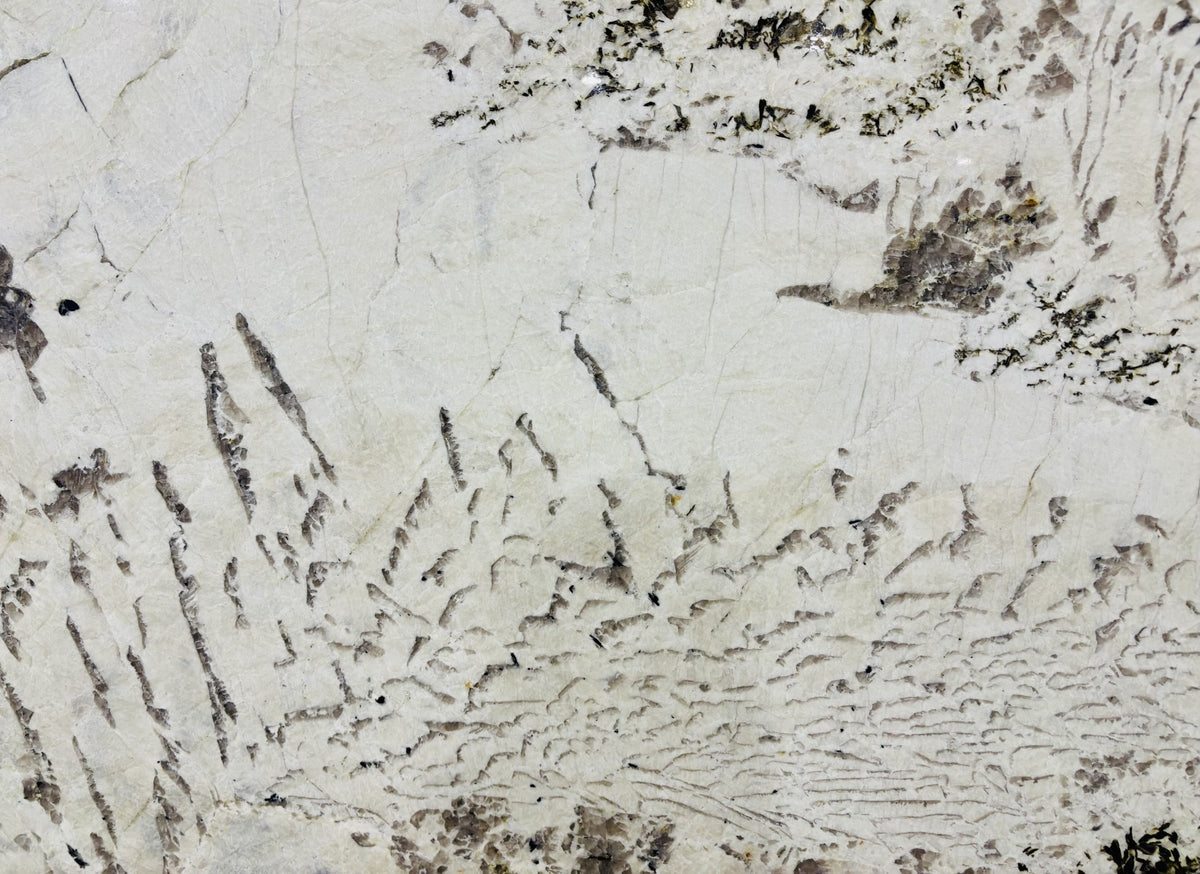 Antoinette Granite 2CM