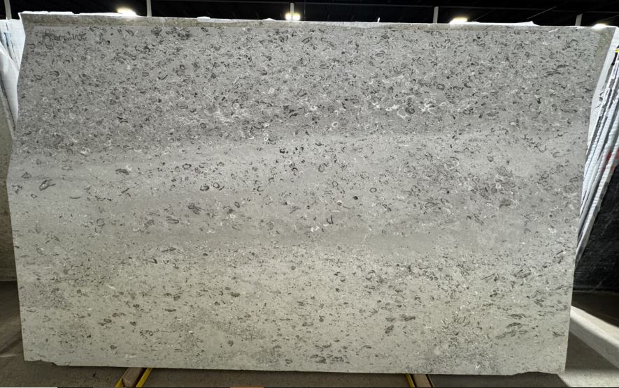 Aurisina Lumachella Marble 2CM