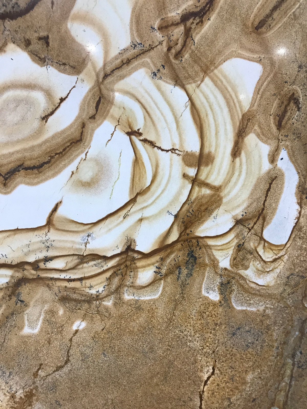 Palomino Quartzite 3CM
