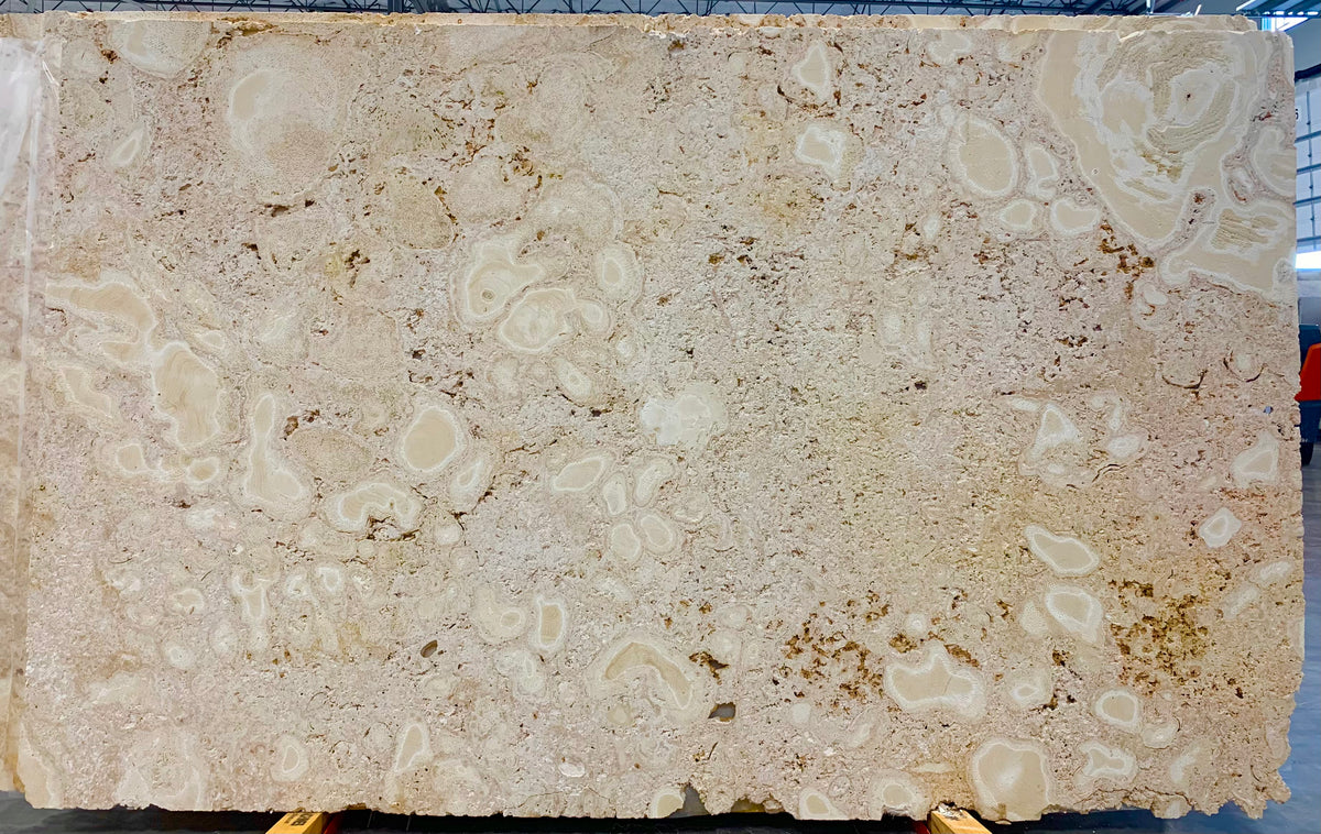 Pietra Corallina Honed/Unfilled Coral 2CM slab