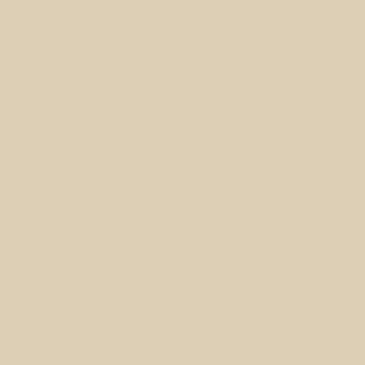 Sandite Honed Porcelain 2CM