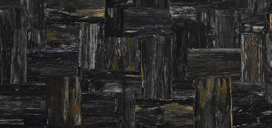 Black Petrified Wood Retro 119x56 2CM slab
