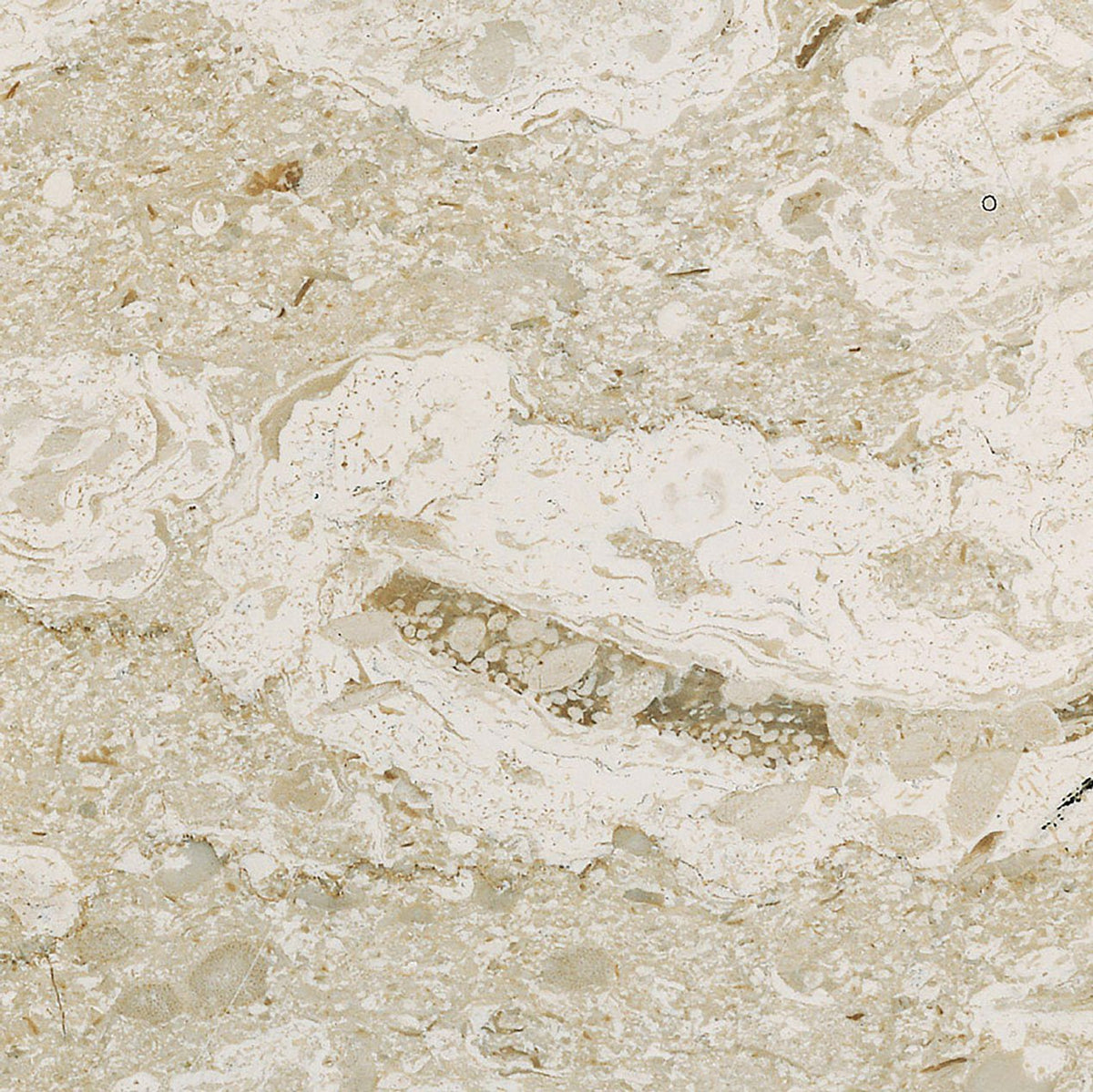 Creme Lisboa Limestone 3CM