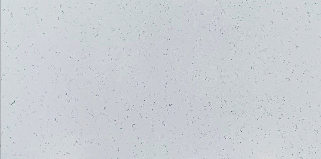 Carrara Pluma Quartz 3CM