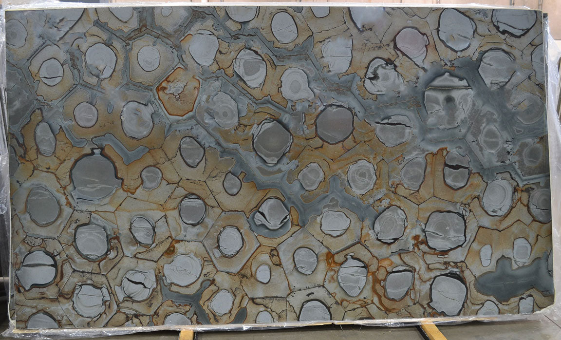 Brazilian Fossil Honed Quartzite 3CM slab