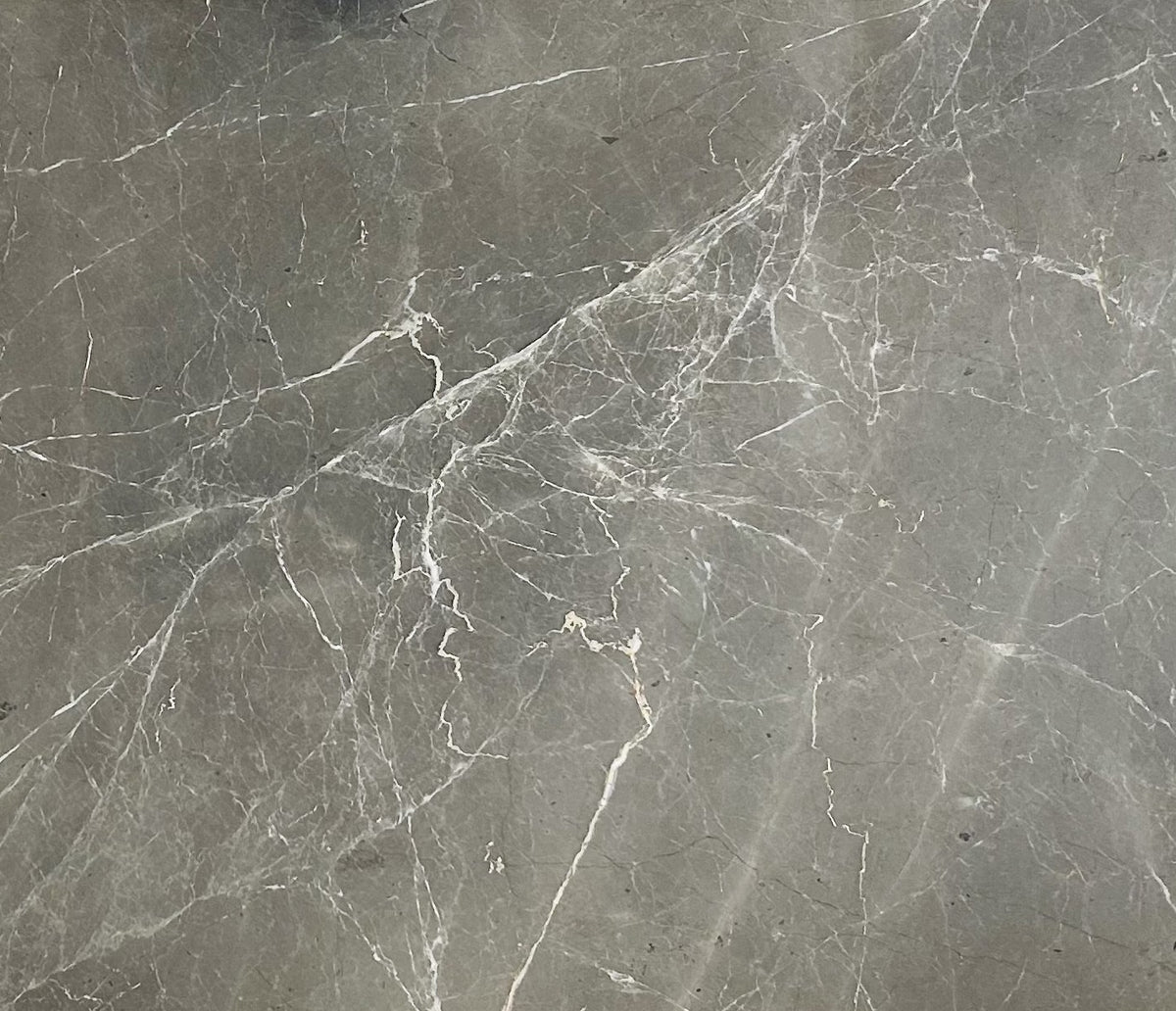 Grey Spider Honed Marble 2CM – Go-Granite