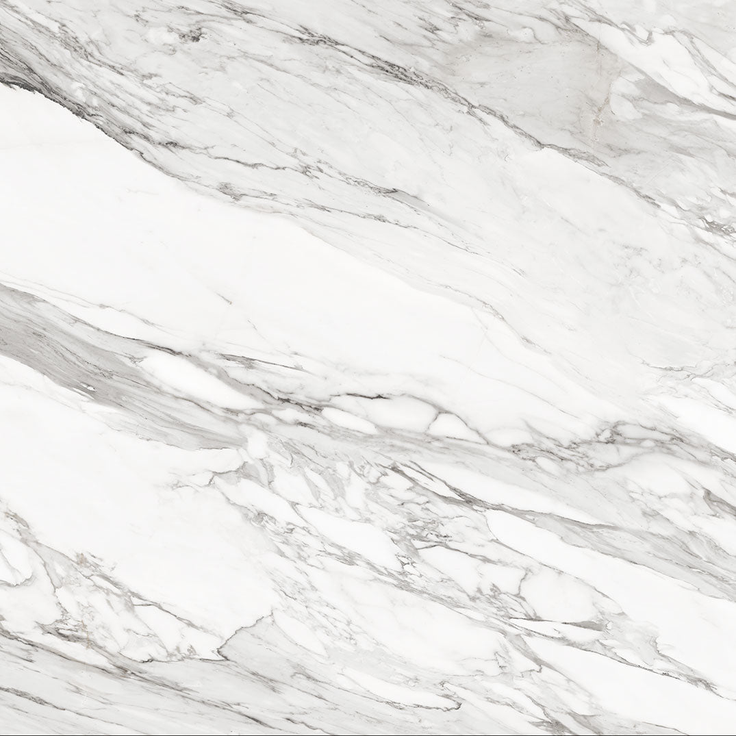 Calacatta Griseo Honed Porcelain 2CM