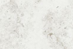 Kendo Light Honed Porcelain 12MM