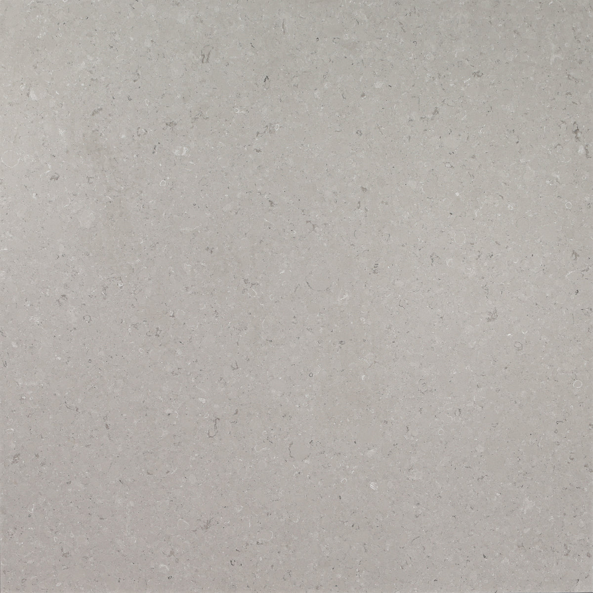 Clamshell Caesarstone 3CM slab